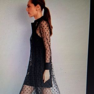 Bloggers Fave Rare tulle Zara Shirt Dress L